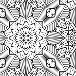 Meet your Posher, Sophie